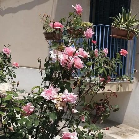 Apartamento Appartampeppe *
